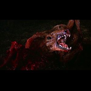 Meet your Posher, Caro